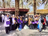 berita elshatour.com